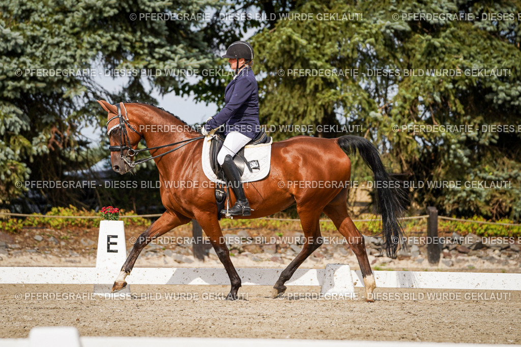 DSC07206 | Pferdegrafie