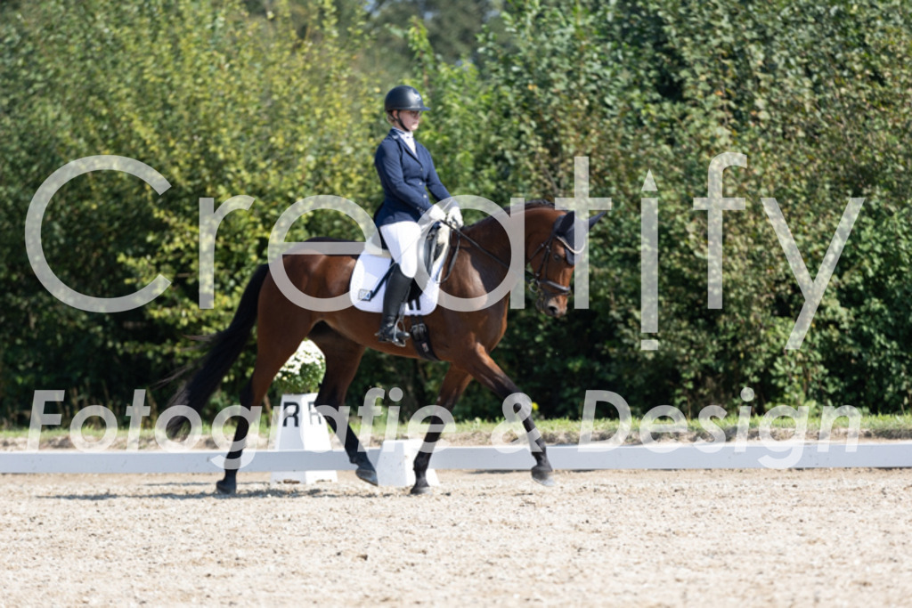 IMG_4212 | Creatify Fotografie