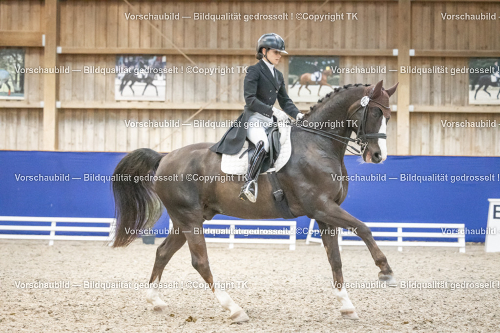 _D5A4774 | Emotionale Pferde- & People-Fotografie rund um Heidelberg, Leimen & Umgebung. Natürliche Fotos von Pferd, Mensch & Familie. Jetzt Termin sichern!