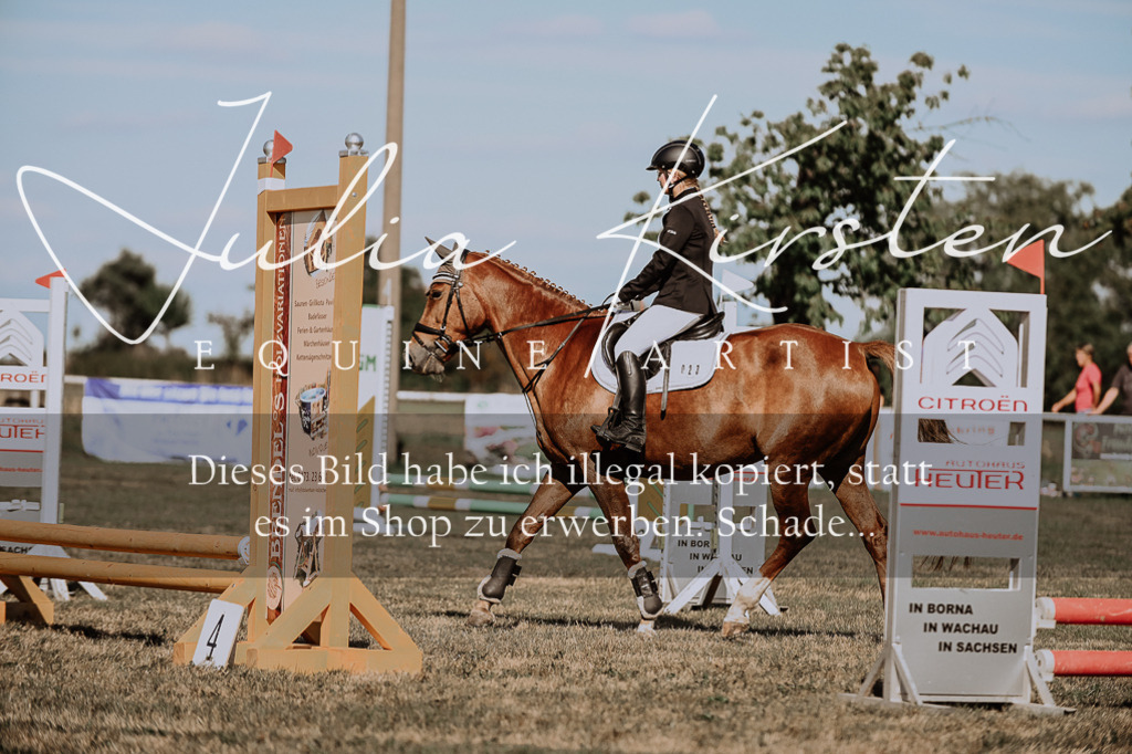 DSC_9344 | Pferde- und Turnierfotografie in Westsachsen. Pferdeportraits, Auftragszeichnungen und intuitive Kunst.