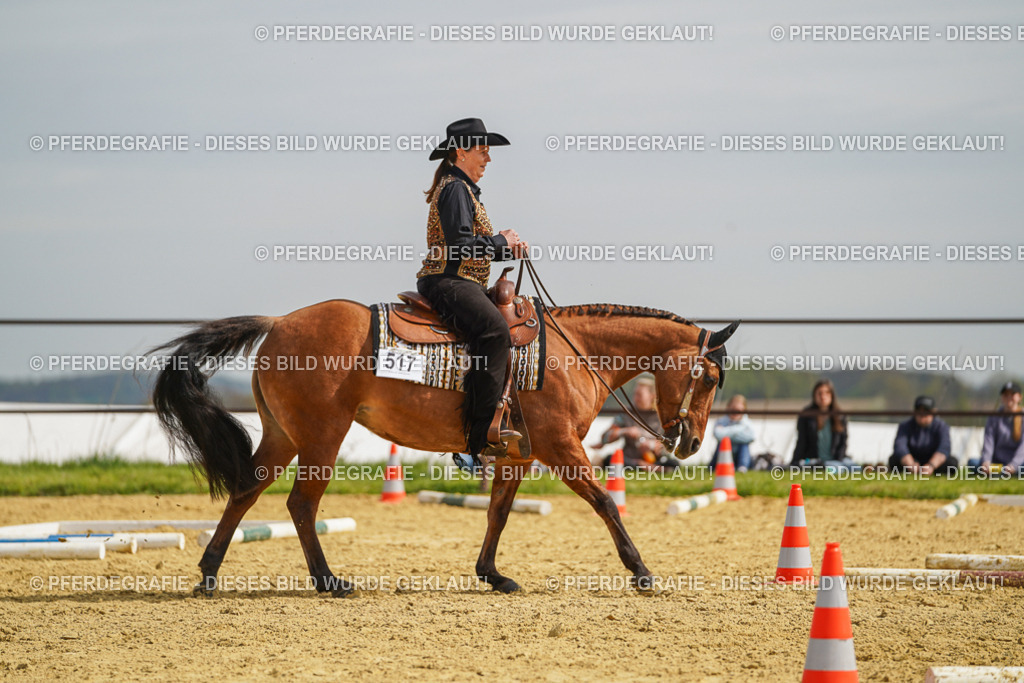 DSC04017 | Pferdegrafie