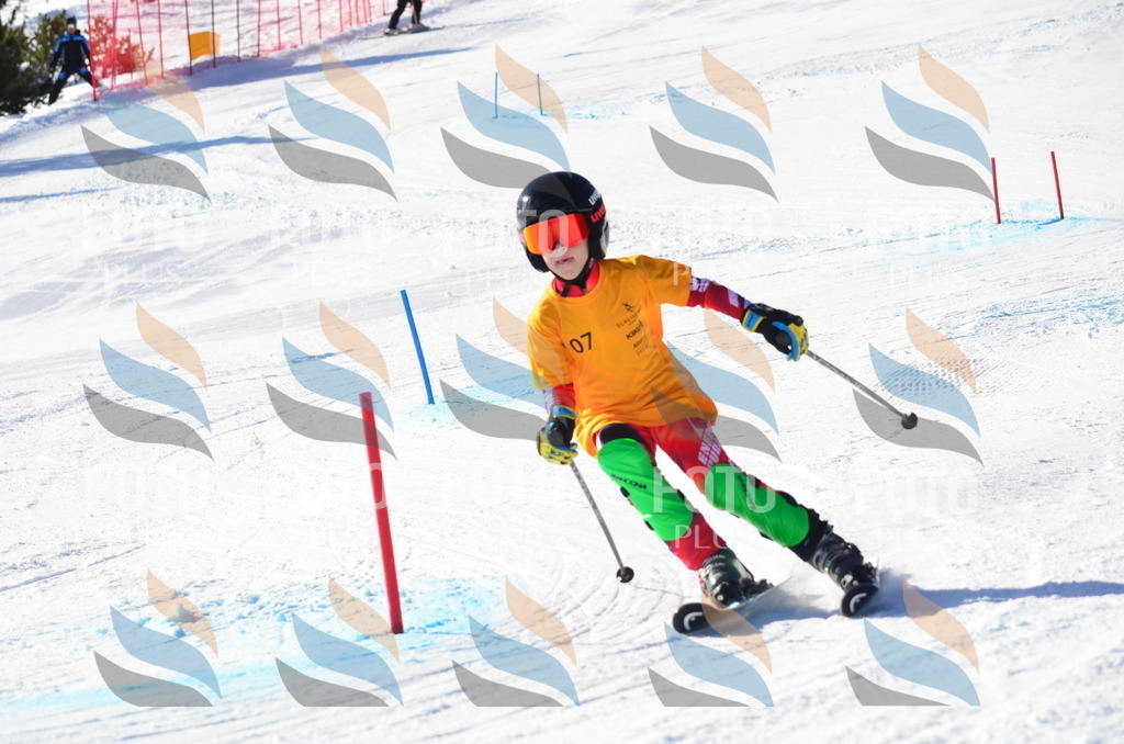 C6252 | holidayphoto