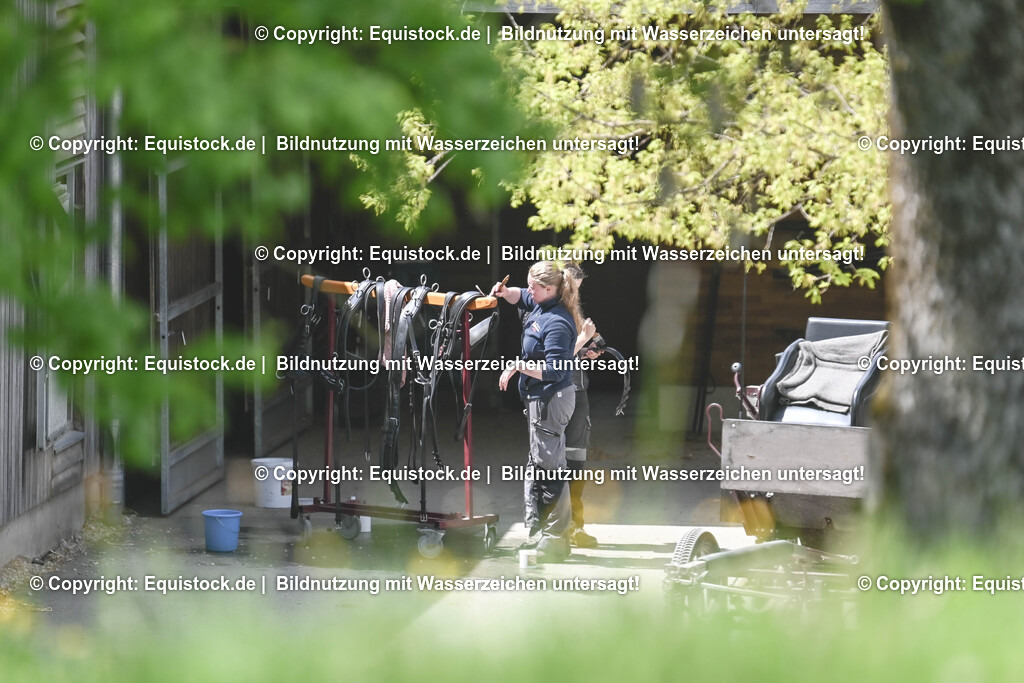 20250516_Impressionen_0098 | Foto: Thomas Hartig