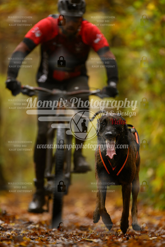 MompixPhotography_CD7S_DI_Bike-20 | mompixphotography