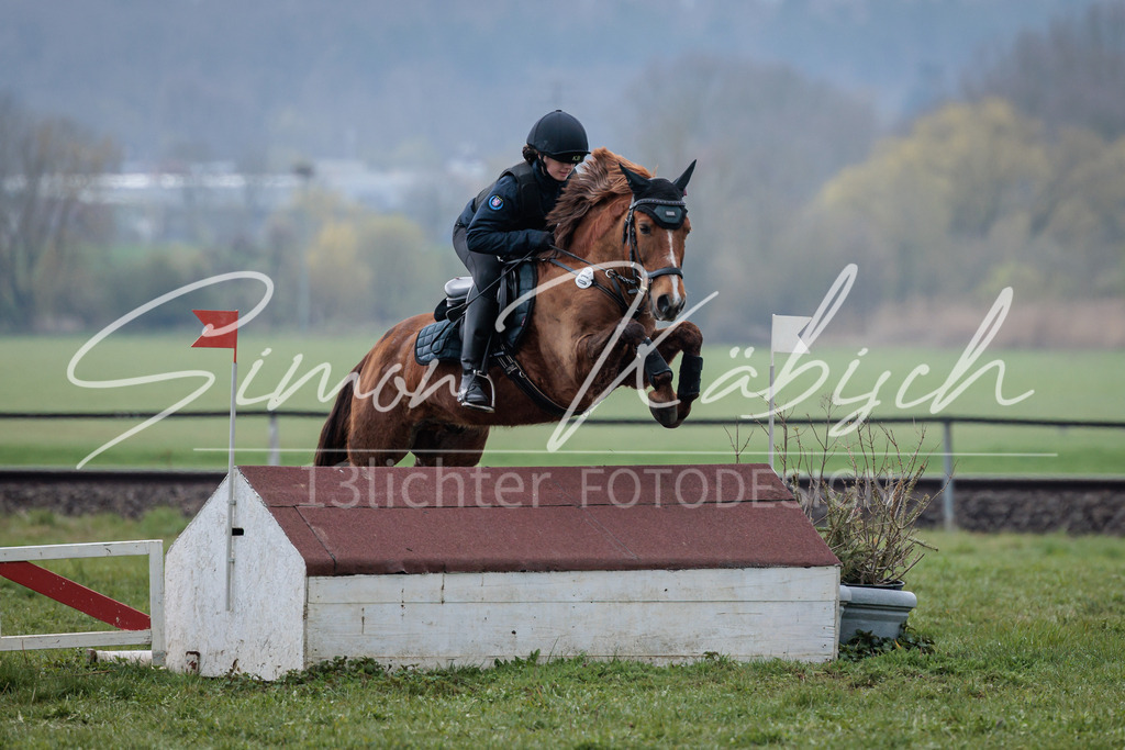 20260329-_3LI4471 | Tierfotografie Pferde, Hunde, Katzen, Haustiere.
Turnierfotografie Reitturniere, Reiten, Springreiten, Dressur in Hanau, dem Main-Kinzig-Kreis und dem Rhein-Main- Gebiet um Frankfurt