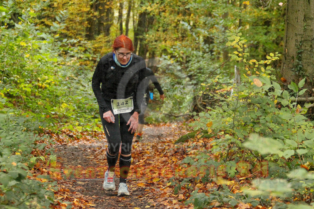 251026_1311_EV4_6618 | Sportfotografie im Rhein-Sieg Kreis, Köln, Bonn, NRW, Rheinland Pfalz, Hessen, etc. Unser Tätigkeitsfeld umfasst den Laufsport vom Volkslauf über den Marathon, Duathlon, Triathon bis zum Ultralauf wie Kölnpfad Ultra oder Schindertrail.