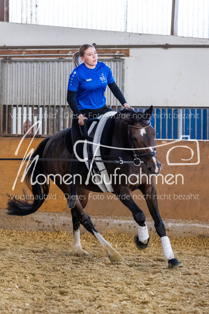 VTD-Voltigierpferde-037 | MomenTaufnahmen Pferdesportfotos