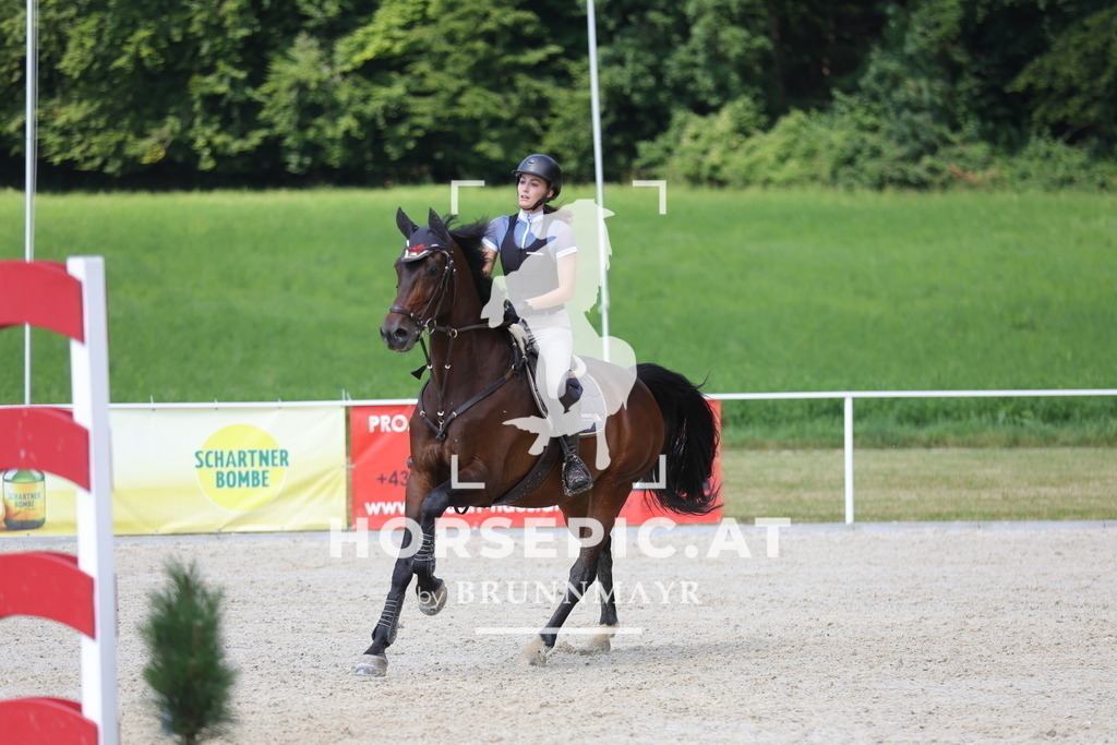 0P6A8633 | Willkommen bei Brunnmayr - Design & Fotografie – Ihrem Spezialisten für Reitturniere und Pferdeveranstaltungen in Oberösterreich, Salzburg und Bayern! Seit über 17 Jahren sind wir leidenschaftlich dabei.