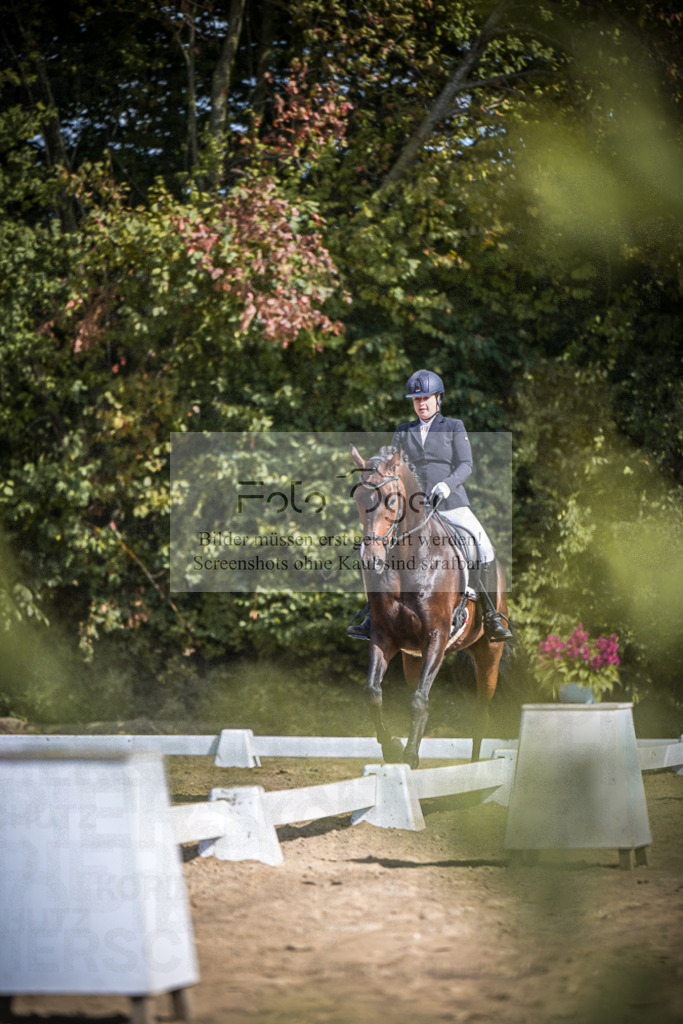 DOS_4051 | Entdecke hochwertige Reitturnierfotos von Foto Oger. Professionell, emotional und authentisch – jetzt Lieblingsmomente im Shop bestellen.Deutschlandweite Turnierfotografie. - Realisiert mit Pictrs.com