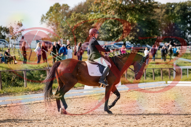 2026_10_03_Siefer-Hof_130436_Z63_67338933 | Professionelle Reitsport-, Turnier- und Eventfotografie von Robert Broda. Galerien mit ausgewählten und bearbeiteten Bildern direkt online ansehen und bestellen.