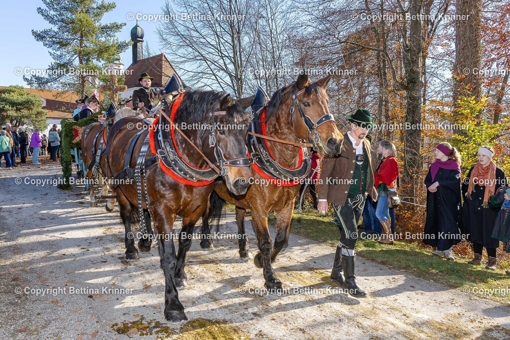 LBT25-1305 | foto-bettina-krinner - Realisiert mit Pictrs.com