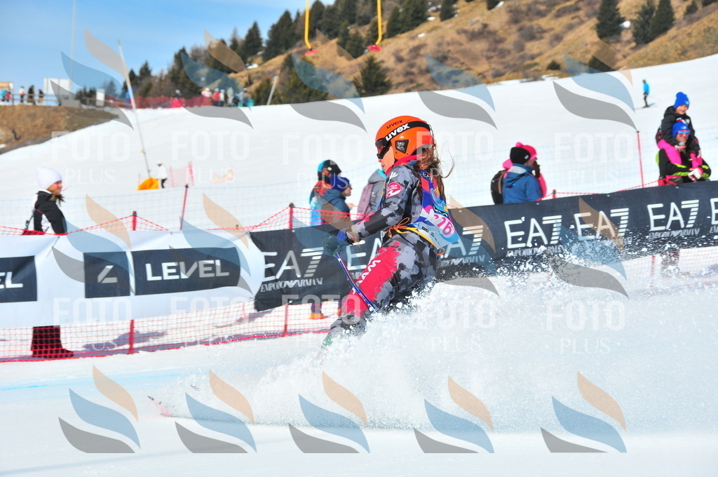 DSC_4726 | holidayphoto