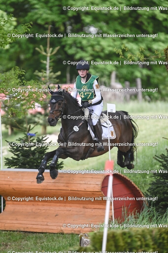 20250517_CCI1_Gelände_0661 | Foto: Thomas Hartig