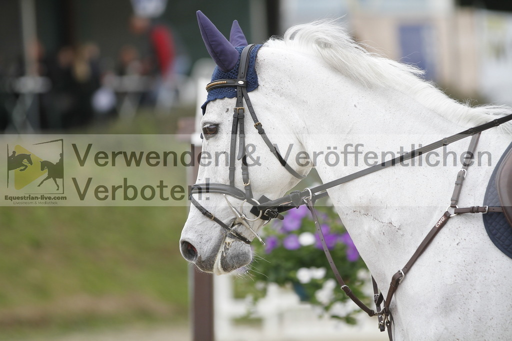 _MG_2845 | equestrian-live-com