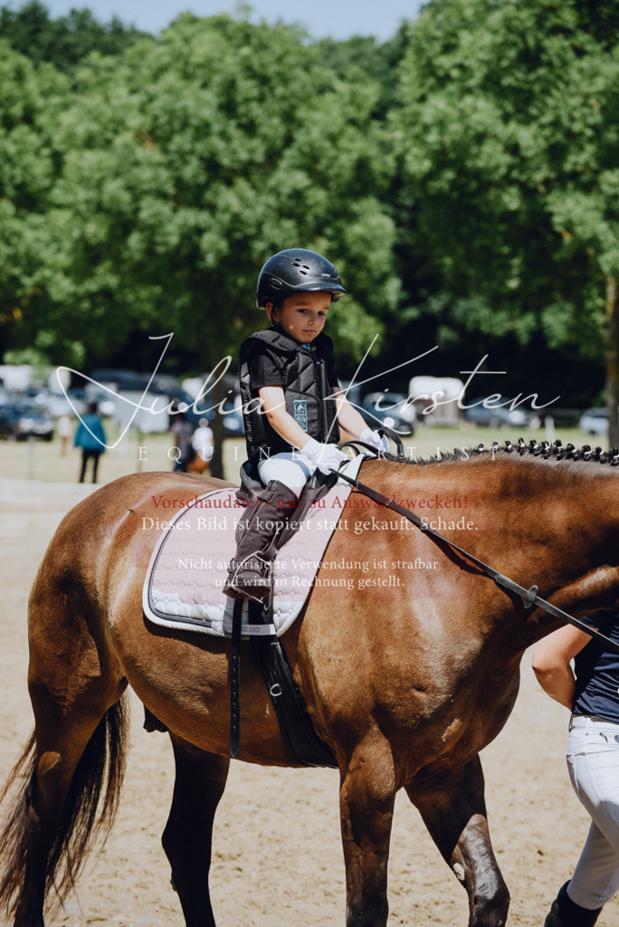 DSC_2388 | Pferde- und Turnierfotografie in Westsachsen. Pferdeportraits, Auftragszeichnungen und intuitive Kunst.