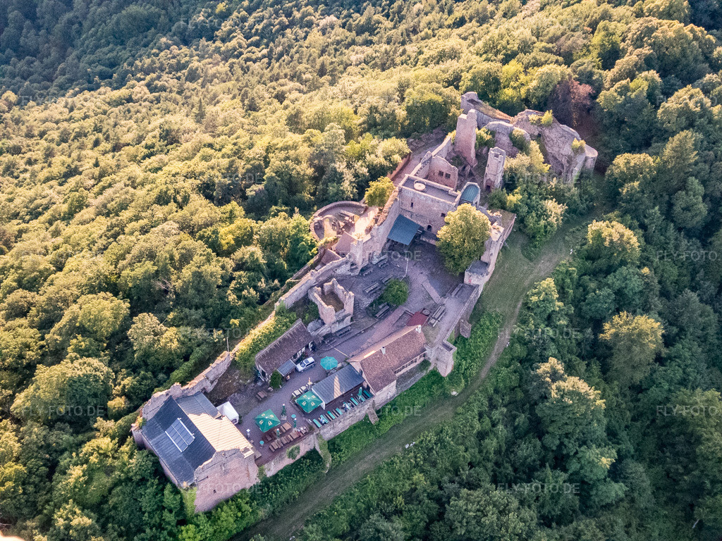 Luftbild: Burgruine Madenburg in Eschbach im Bundesland Rheinland-Pfalz in Deutschland. Foto: P7130199.jpg vom 13.07.2017 durch Werner Riehm/FLY-FOTO.deMadenburg