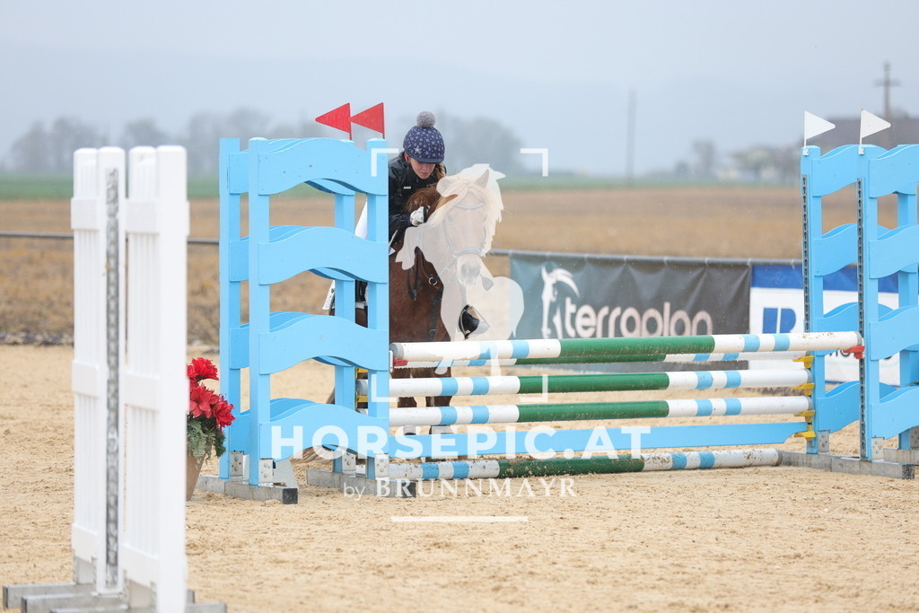 0P6A7268 | Willkommen bei Brunnmayr - Design & Fotografie – Ihrem Spezialisten für Reitturniere und Pferdeveranstaltungen in Oberösterreich, Salzburg und Bayern! Seit über 17 Jahren sind wir leidenschaftlich dabei.