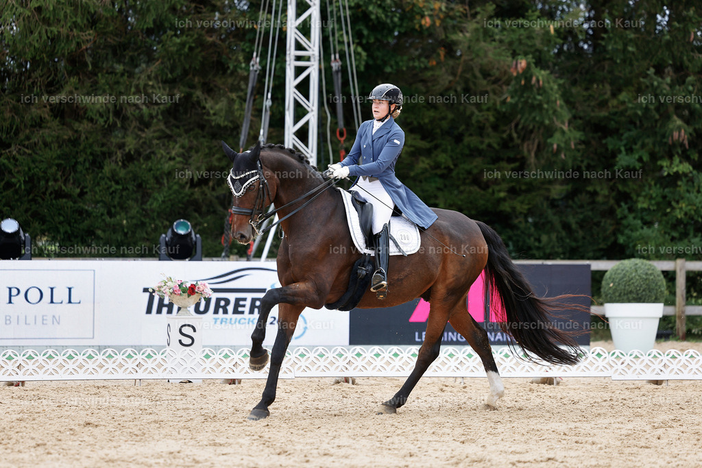 6-200-AMATUER-DRESSUR S_  -StoibPH-3539 | working equitationturnier fotograf videograf stoibphotography marixx film working equitation deutschland reitsport turnierfotografie eventfotografie equestrian events