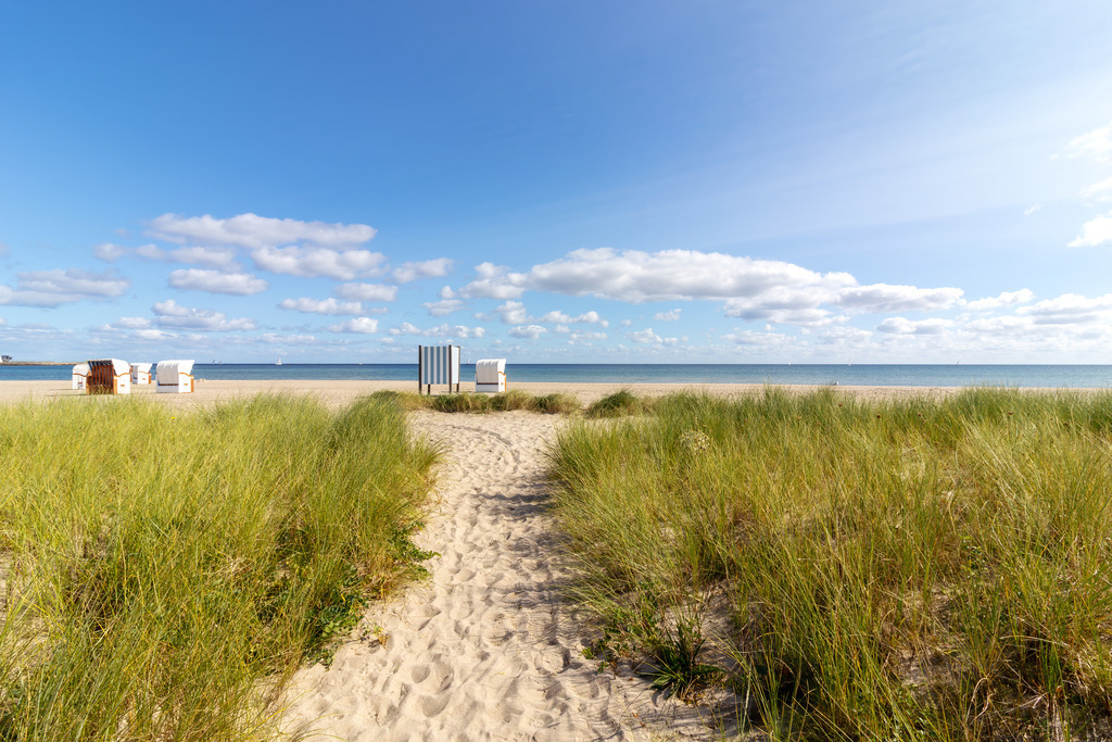 Wandbild: Küstenpfad an den Ostseestrand | Dieses Wandbild zeigt einen sandigen Weg, der sich zwischen dichtem, grünem Strandgras hindurch Richtung Ostsee öffnet. Die Szene wirkt freundlich und natürlich, geprägt von hellem Sand, ruhigem Wasser und einem klaren Himmel mit ein paar leichten Wolken. Im Hintergrund stehen mehrere Strandkörbe am Ufer, die dem Motiv eine typisch norddeutsche Küstenatmosphäre verleihen. Die Komposition vermittelt Ruhe, Weite und eine einladende Leichtigkeit – ein Moment, der die entspannte Stimmung eines Sommertages am Meer einfängt. Ein Wandbild, das maritime Gelassenheit und natürliche Klarheit in jeden Raum bringt. - Realisiert mit Pictrs.com