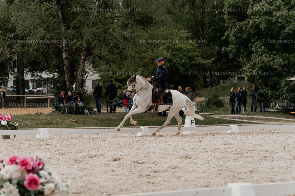 WE_DR_Stoib_327_PI2025_776 | Pferd International München 2025