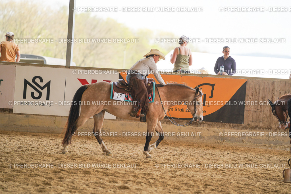 DSC01912 | Pferdegrafie