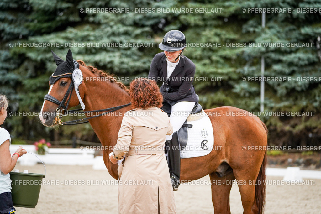 DSC09919 | Pferdegrafie