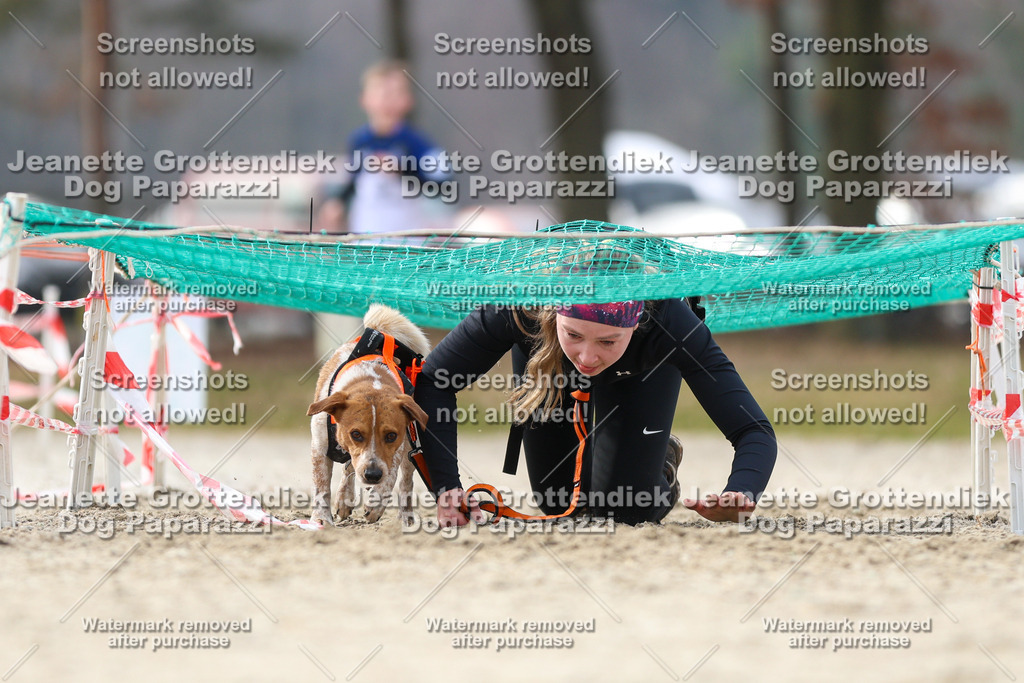 Dog Paparazzi - Strongdog North Mrz26-5233 | Dog Paparazzi Jeanette Grottendiek Fotografie & Videografie - Realisiert mit Pictrs.com