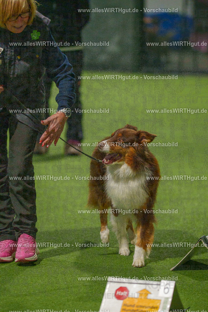 7R508710 | Professionelle Tierfotografie in Mönchengladbach von Daniel Wirth (allesWIRTHgut). Liebevolle & natürliche Bilder von Hunden & Katzen für unvergessliche Erinnerungen.