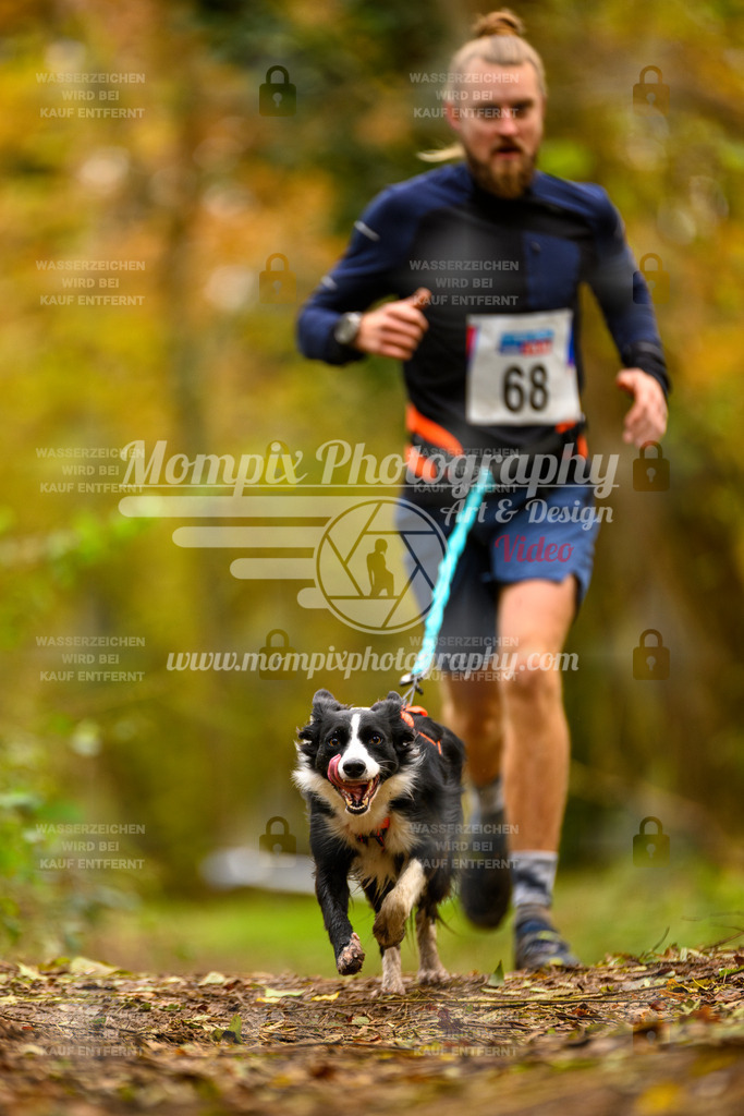 MompixPhotography_Bischwiller24_SA_Canicross-79 | PayLife