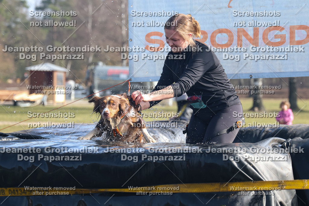 Dog Paparazzi - Strongdog North Mrz26-1182 | Dog Paparazzi Jeanette Grottendiek Fotografie & Videografie - Realisiert mit Pictrs.com