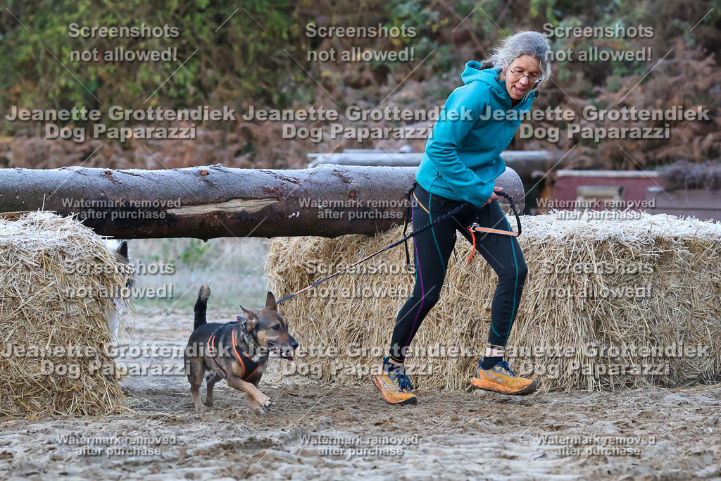 Dog Paparazzi - Strongdog 10-25-202 | Dog Paparazzi Jeanette Grottendiek Fotografie & Videografie - Realisiert mit Pictrs.com