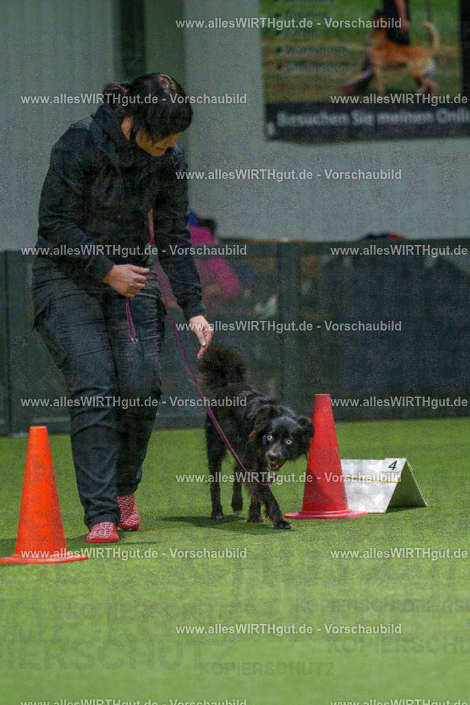 7R505731 | Professionelle Tierfotografie in Mönchengladbach von Daniel Wirth (allesWIRTHgut). Liebevolle & natürliche Bilder von Hunden & Katzen für unvergessliche Erinnerungen.