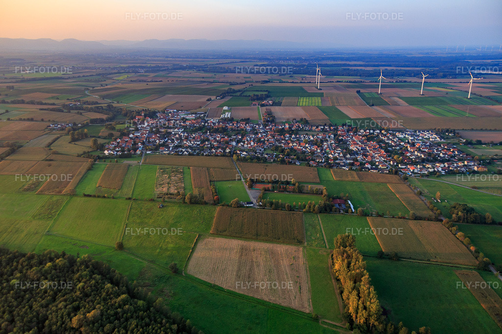 Luftbild: Dorfübersicht aus Süden in Minfeld im Bundesland Rheinland-Pfalz in Deutschland. Foto: IMG_074081.jpg vom 03.10.2014 durch Werner Riehm/FLY-FOTO.de