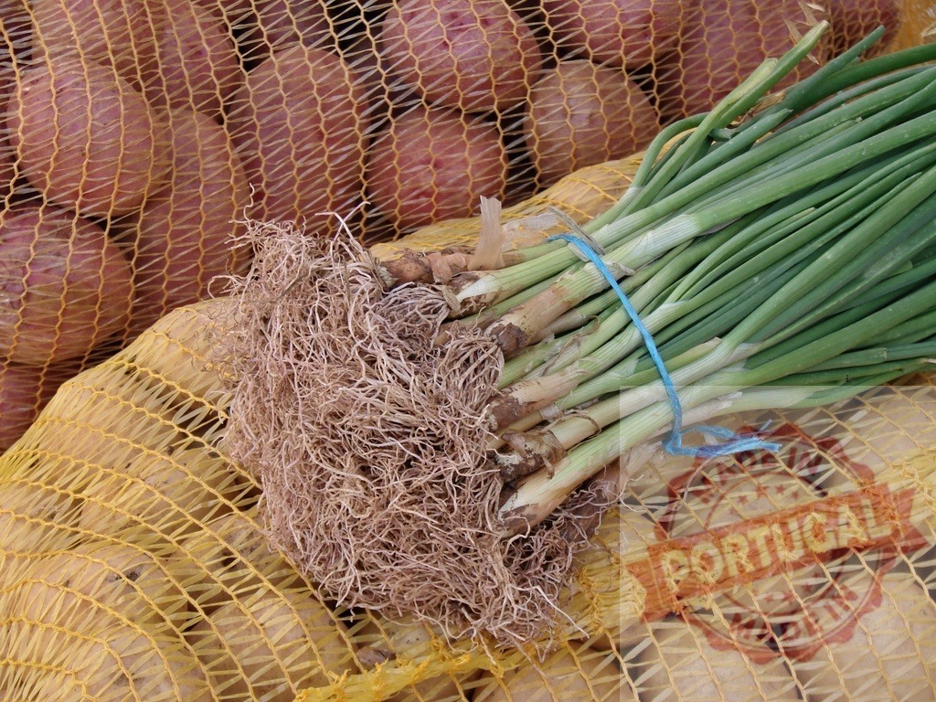 Fresh spring onions with roots on potato bags | Spring onions with visible roots resting on mesh bags filled with potatoes and red onions - Realisiert mit Pictrs.com