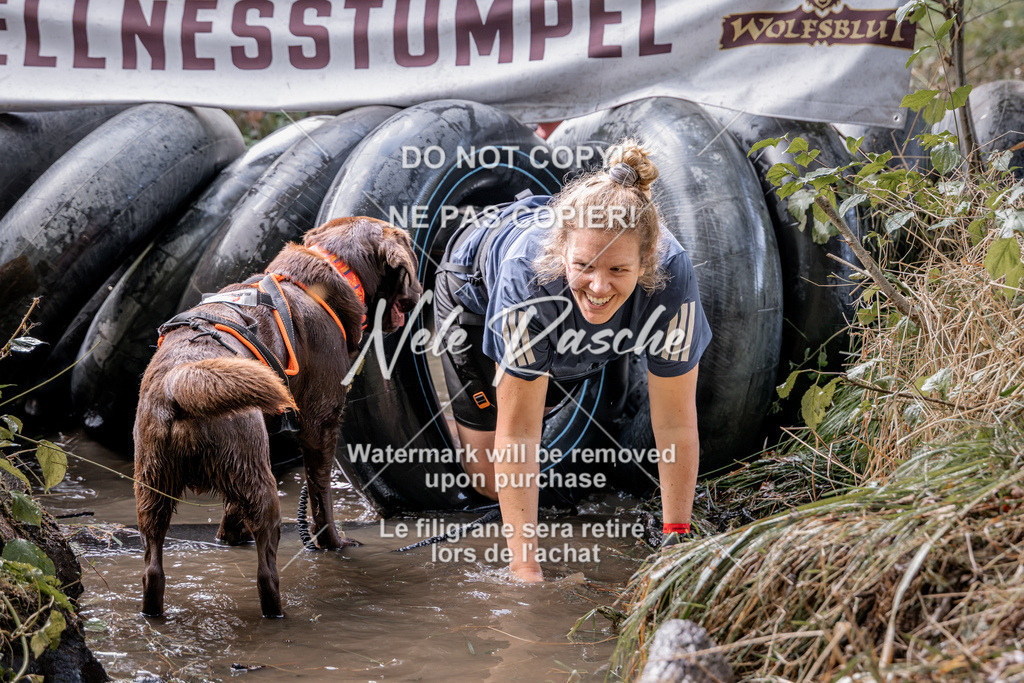 nelerasche_Hunsrück2026_Sa1400-1500_348 | nelerasche