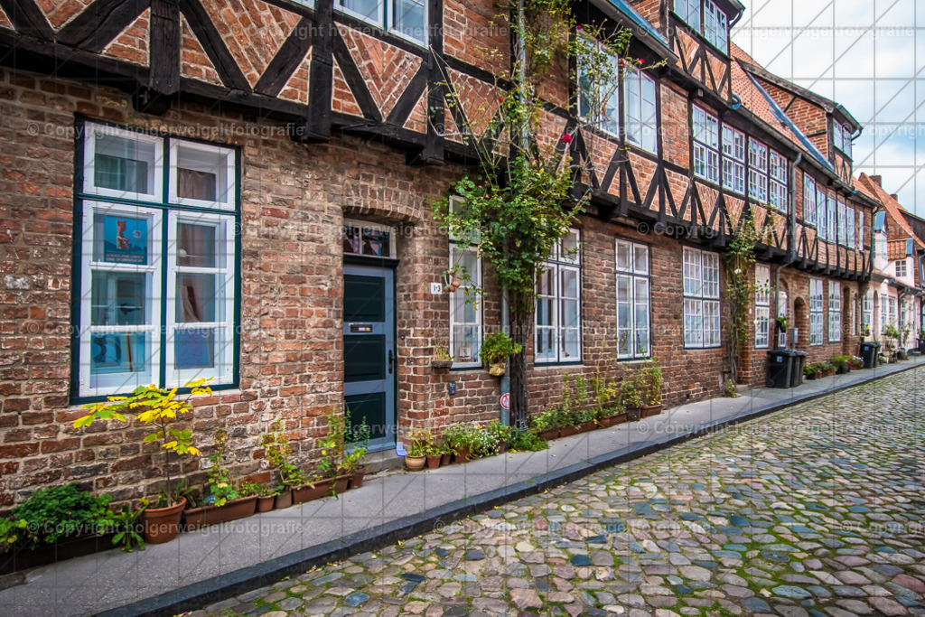 20221005165927D75_0039 | Kaufen sie online außergewöhnliche Fotografien auf Leinwand Acrylglas Fotoprint Aludibond von holgerweigeltfotografie - Realisiert mit Pictrs.com