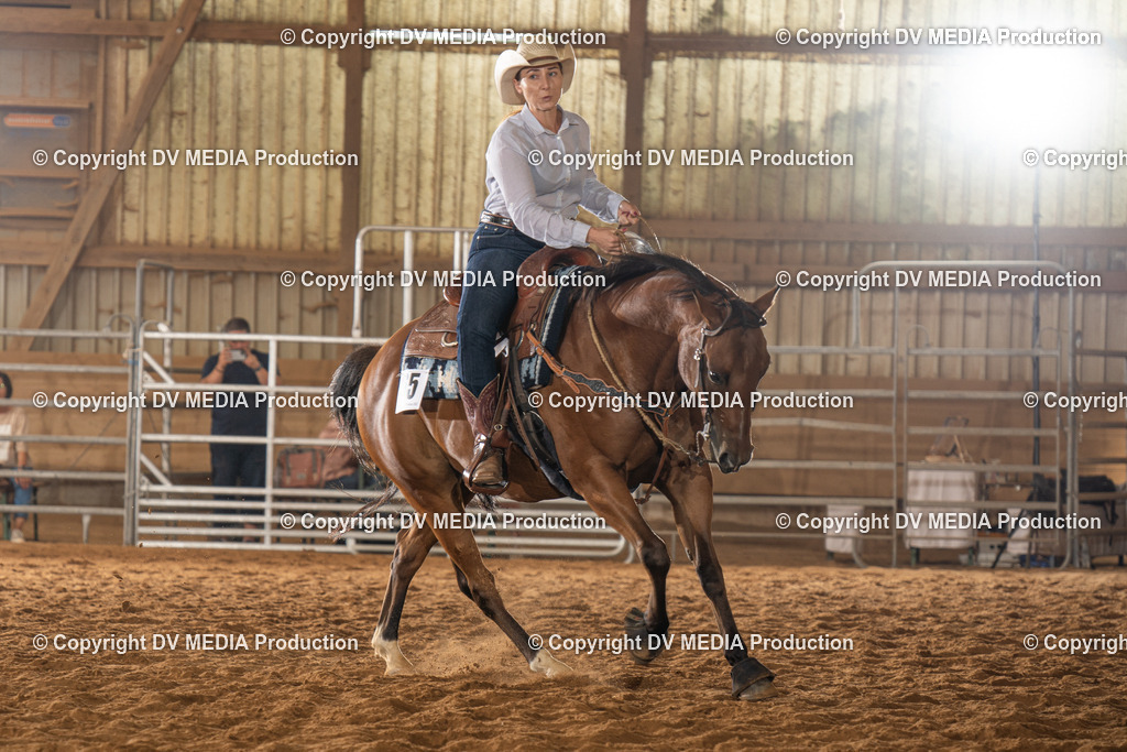 NID01695 | dv-media-shop - Realisiert mit Pictrs.com