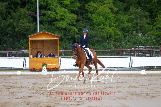 DKP47433 | Turniersportfotografie; Pferdefotografie; Dressurfotografie