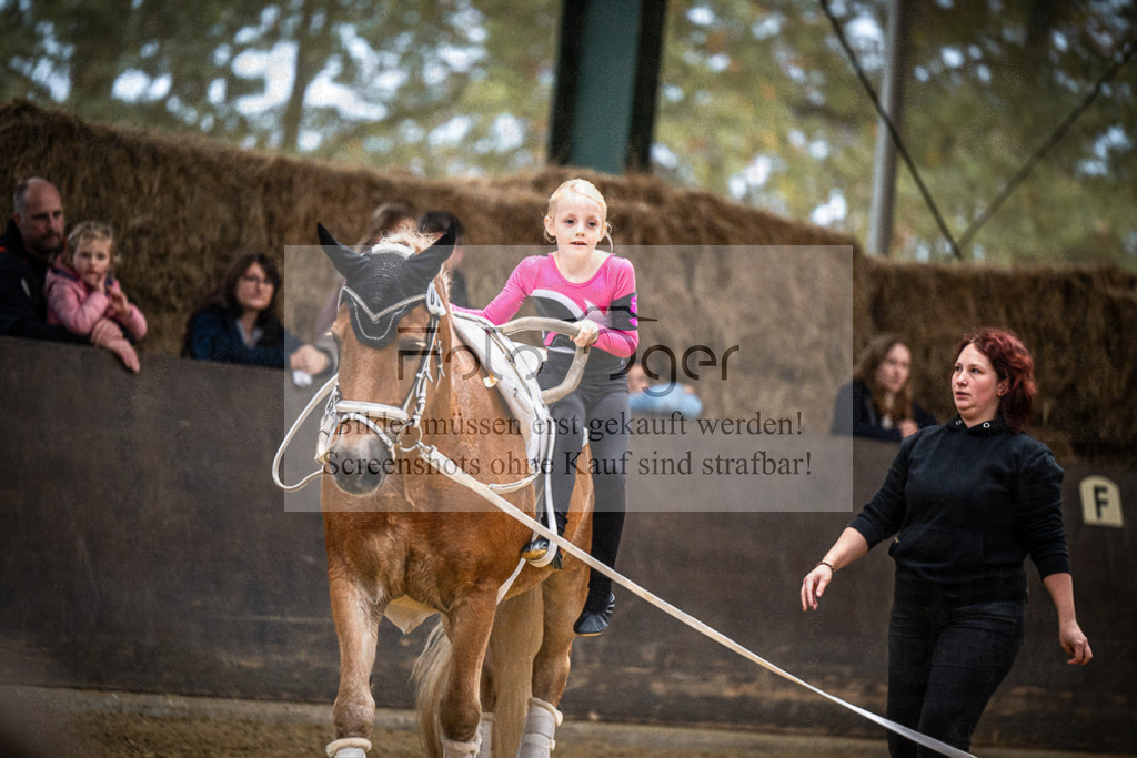 DOS_0175 | Entdecke hochwertige Reitturnierfotos von Foto Oger. Professionell, emotional und authentisch – jetzt Lieblingsmomente im Shop bestellen.Deutschlandweite Turnierfotografie. - Realisiert mit Pictrs.com