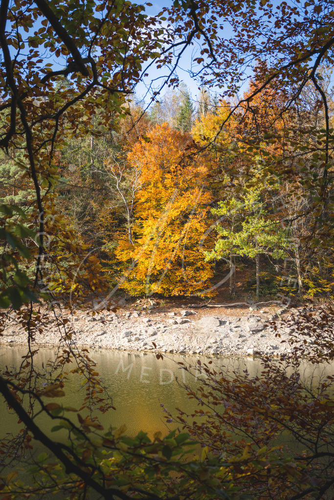 2024-10-23 Stuttgart Herbst Solitude 005 | Schwotte Media - Realisiert mit Pictrs.com