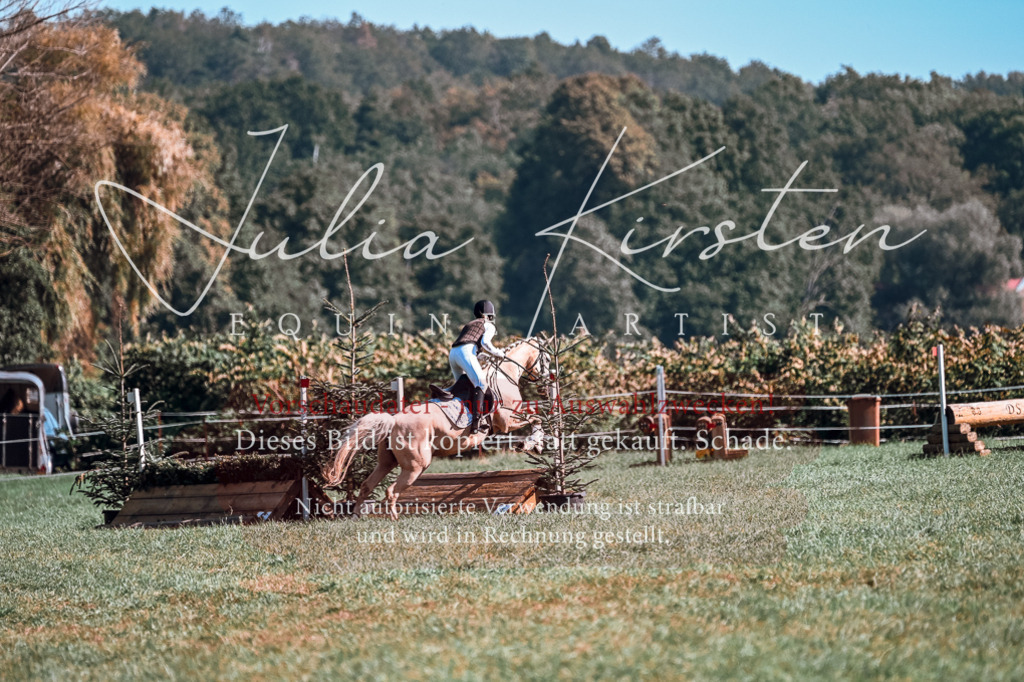 DSC_1119 | Pferde- und Turnierfotografie in Westsachsen. Pferdeportraits, Auftragszeichnungen und intuitive Kunst.