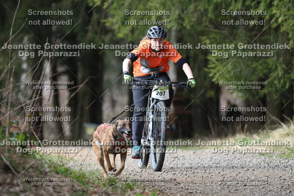 Dog Paparazzi - VCC26-222 | Dog Paparazzi Jeanette Grottendiek Fotografie & Videografie - Realisiert mit Pictrs.com