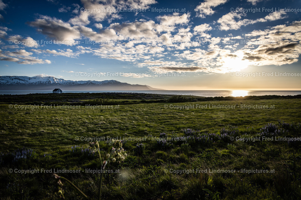 Island Juni 2022-0103 | Fotos und Fotoprodukte - Realisiert mit Pictrs.com