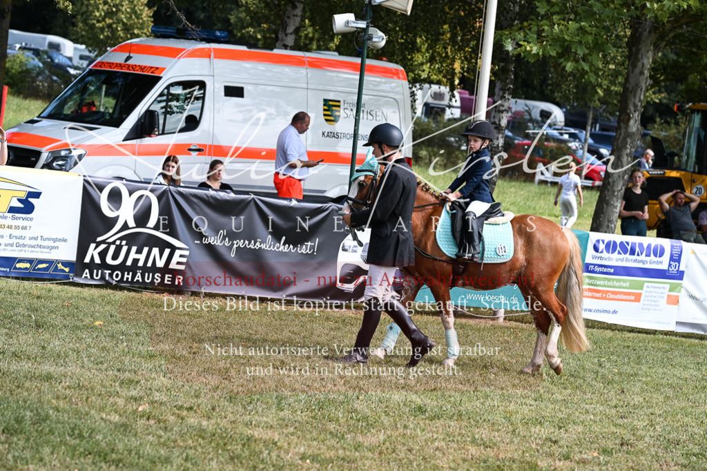 DSC_6860 | Pferde- und Turnierfotografie in Westsachsen. Pferdeportraits, Auftragszeichnungen und intuitive Kunst.