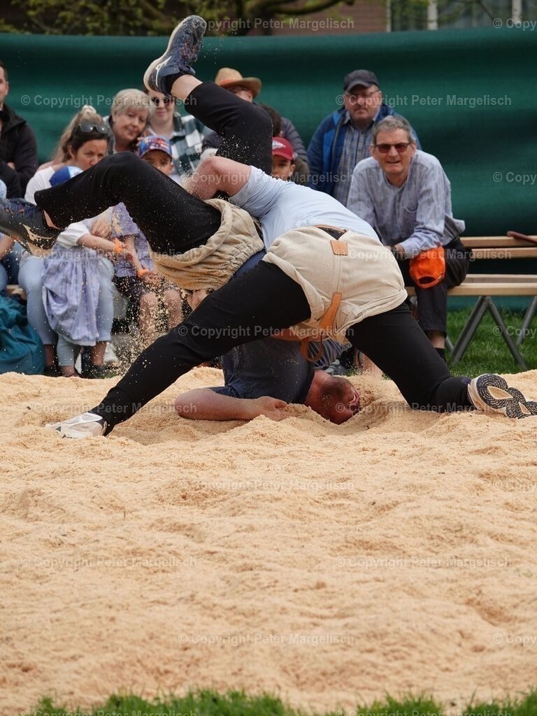 k-DSC06178 | Schwingen - Realisiert mit Pictrs.com