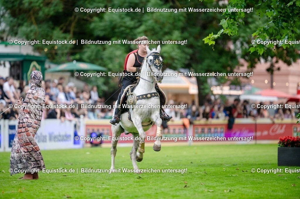 20250606_Lange-Pferdenacht_0375 | Foto: Thomas Hartig