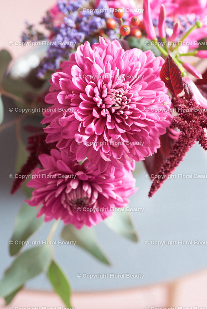 Nahaufnahme Rosa Dahlien  | Dahlien in Glasvase von oben, Nahaufnahme - Realisiert mit Pictrs.com
