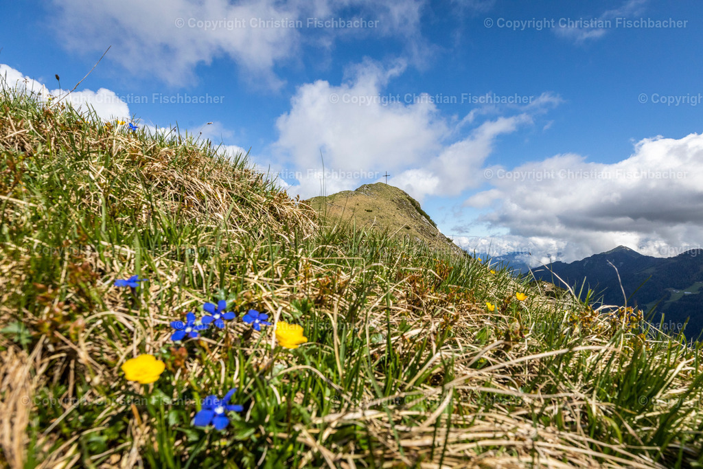 Fotos_Copyright_Chri_Fischbacher_Druck-382 | Bildershop Chri Fischbacher - Realisiert mit Pictrs.com