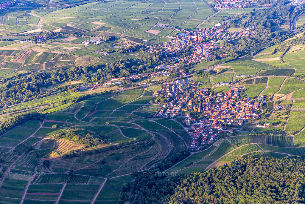 Luftbild: Kastanienbusch in Birkweiler im Bundesland Rheinland-Pfalz in Deutschland. Foto: IMG_133666.jpg vom 18.07.2022 durch Werner Riehm/FLY-FOTO.deWeinort Birkweiler