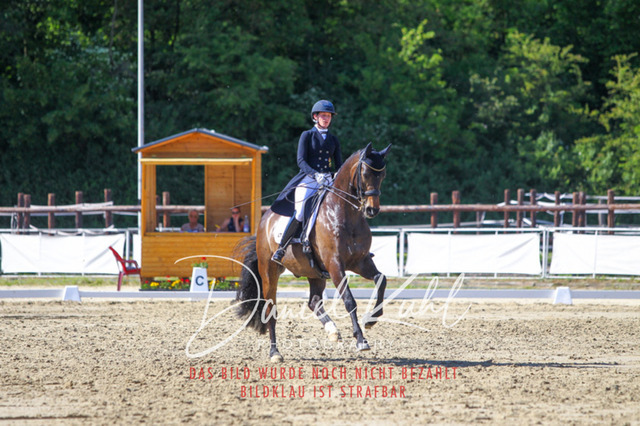 DKP42562 | Turniersportfotografie; Pferdefotografie; Dressurfotografie